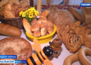 Авыл сулышы (15.08.24)