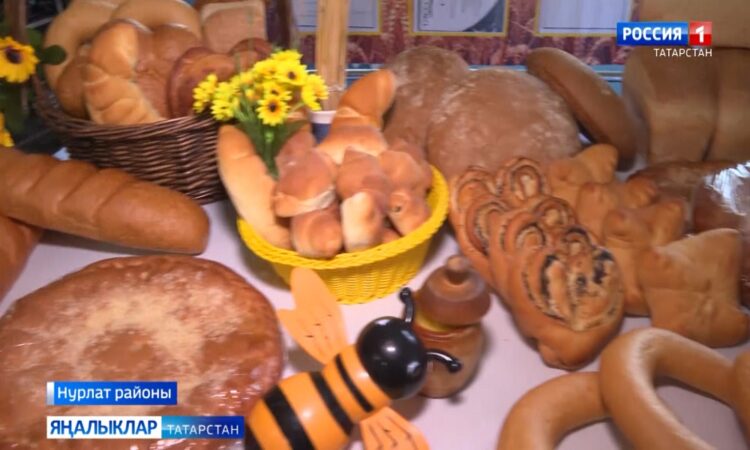 Авыл сулышы (15.08.24)