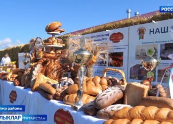 Авыл сулышы (08.08.24)