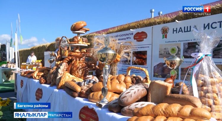 Авыл сулышы (08.08.24)