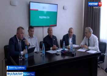 Авылларга ярдәм итү буенча киң колачлы программаны Татарстанда булдырырга тәкъдим итәләр