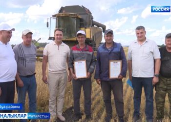 Буада дистәдән артык кыр батырын тәрбикләделәр.