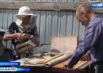 Кукмара районында гомер итүче тәҗрибәле умартачы — Рәфис Шәңгәрәев