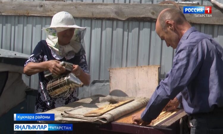 Кукмара районында гомер итүче тәҗрибәле умартачы — Рәфис Шәңгәрәев