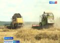 «Авыл сулышы» сәхифәсе