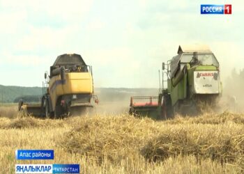 «Авыл сулышы» сәхифәсе