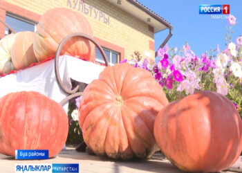 ”Кабак белән карбыз янәшә”