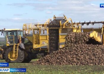 Шикәрем син…