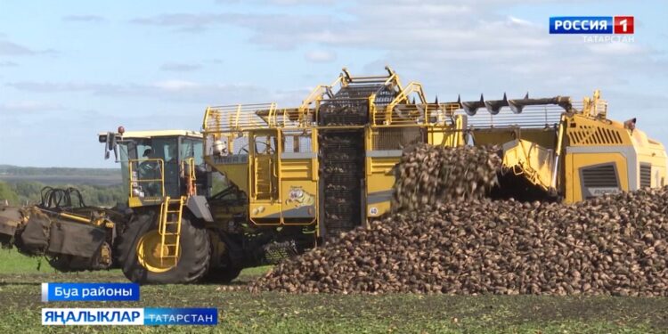 Шикәрем син…
