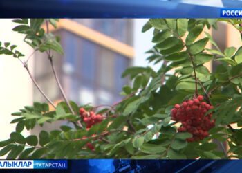 Җәй белән саубуллашу