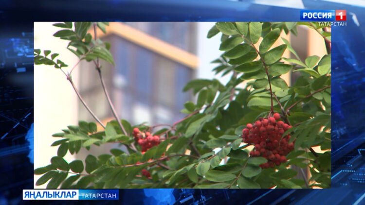 Җәй белән саубуллашу