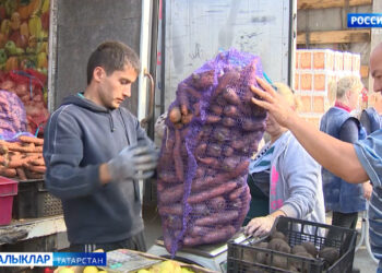 Көзге уңышы белән Кукмара районы халкы да мактана ала