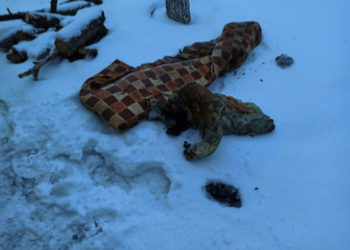 В Альметьевске заснувший с сигаретой пенсионер едва не погиб на загоревшемся матрасе