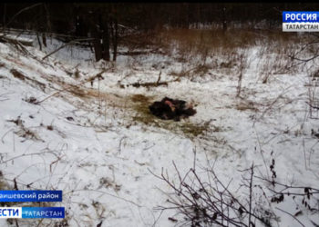 Психолог дал совет о том, как включиться в работу после новогодних праздников