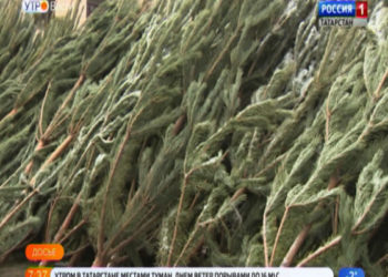 Депутаты Госдумы от Татарстана проведут прием граждан в Казани