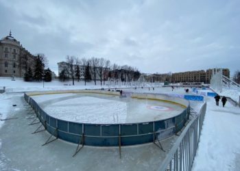 В парке «Черное озеро» появится хоккейная коробка