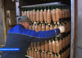 У границ Татарстана зафиксировали заражение диких кабанов свиным гриппом