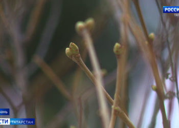 Минниханов обсудил перспективы сотрудничества с руководством Национального университета Сингапура