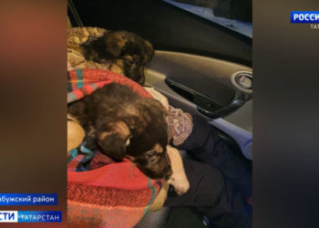 12 человек обратились в больницы Казани с подозрением на коронавирус