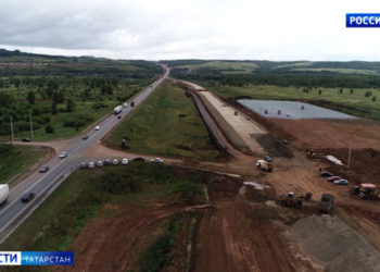 Браконьер застрелил лосиху в Мензелинском районе