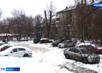 Браконьер застрелил лосиху в Мензелинском районе