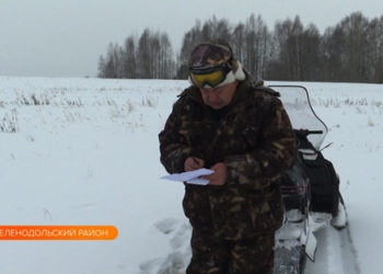 В Татарстане пересчитают косуль, лосей и кабанов