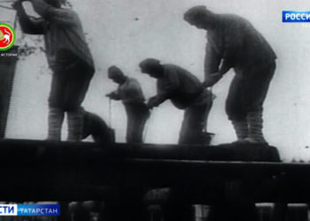 Чешские сельхозпроизводители заинтересованы в закупках сырья из Татарстана