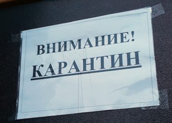 В казанском поселке введен карантин по бешенству