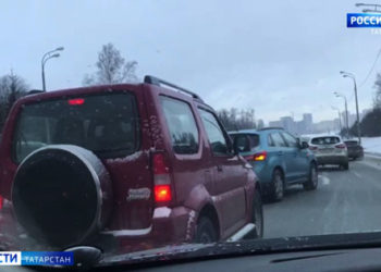 Чешские сельхозпроизводители заинтересованы в закупках сырья из Татарстана