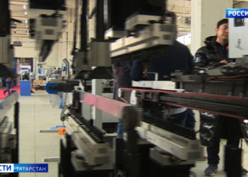 Видео: в Татарстане на трассе сняли оленей