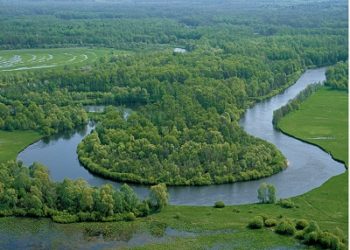 Кичке концерт. 3 февраль.