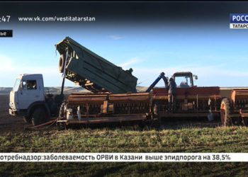 В Татарстане в шесть раз увеличилась площадь застрахованных сельхоземель