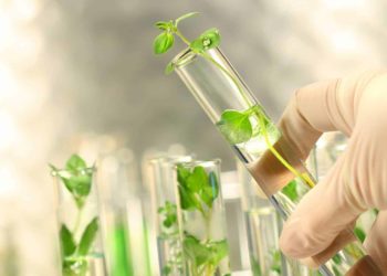 Кичке концерт. 3 февраль.