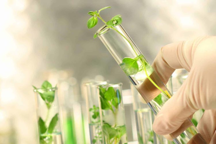 Кичке концерт. 3 февраль.