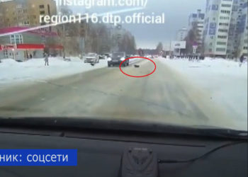 Видео: в Нижнекамске собака попала под внедорожник