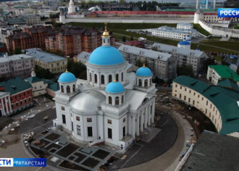 Видео: в Татарстане на трассе сняли оленей