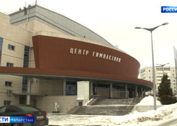 Браконьер застрелил лосиху в Мензелинском районе