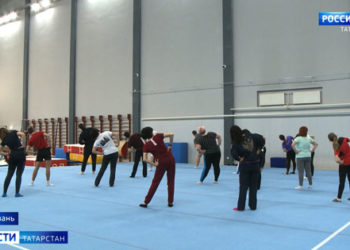 Браконьер застрелил лосиху в Мензелинском районе