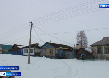 В Татарстане 25-летняя женщина закопала в навозную кучу мертвого младенца: подробности