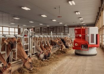 «Ориентиры Нацпроекта «Здравоохранение». 14 февраля.