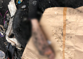 Следком прокомментировал инцидент с найденной в мусоре в Челнах ногой человека (+ФОТО)