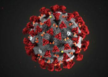 virus1