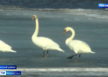 В Казани наградили отличившихся сотрудников УФСИН