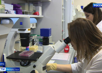 В КФУ начали создавать вакцину против коронавируса