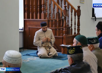 Эльмира Зарипова: 600 тысячам татарстанцев продлят социальные льготы