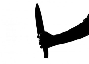 В Казани женщина зарезала двух близнецов и пыталась покончить с собой