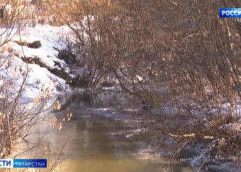 Игорь Комаров встретился с ветеранами Великой Отечественной войны