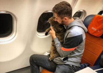 Блогер Михаил Галин и его знаменитый толстый кот Виктор дадут интервью «ГТРК Татарстан»