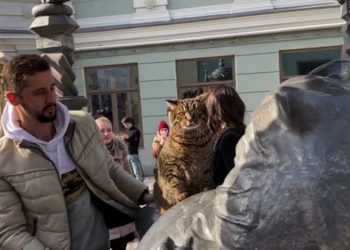 Кот Виктор сфотографировался на Коте Казанском