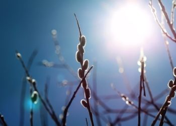 “Музыкаль мизгелләр”. 16 март.